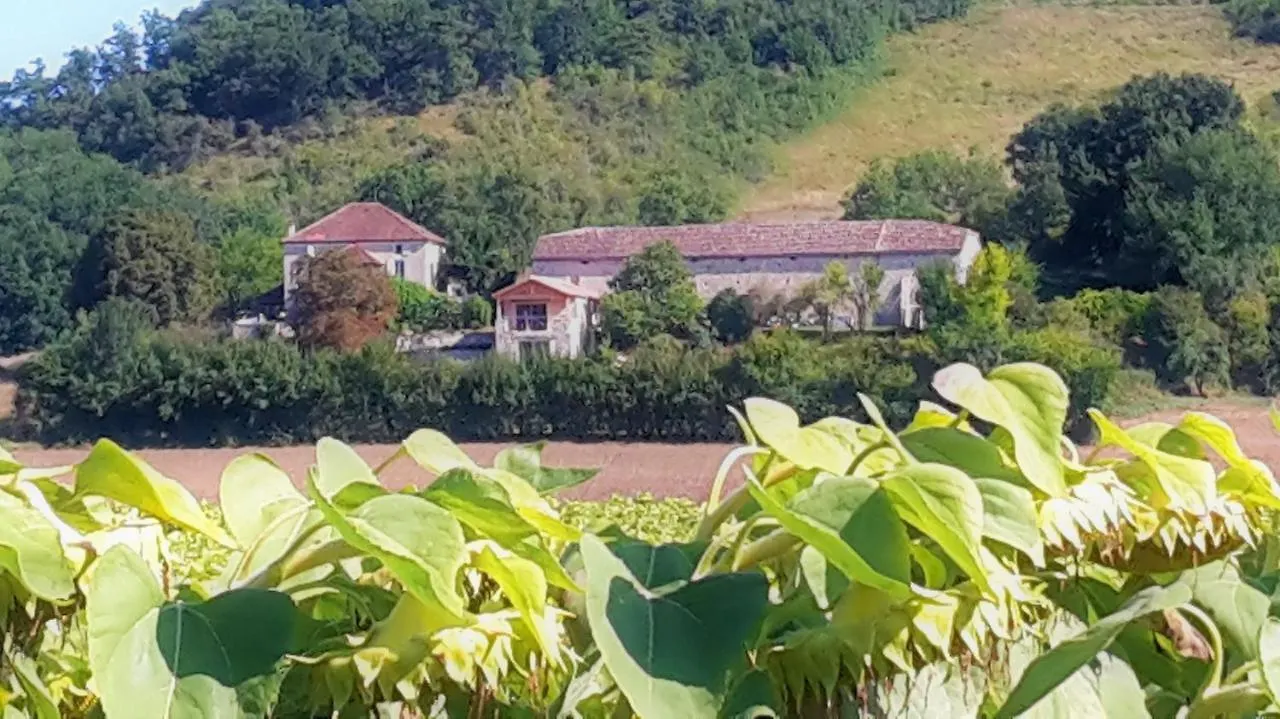 Holiday home Le Gite Bellevue A Montjoi 82400 Tarn & Garonne
