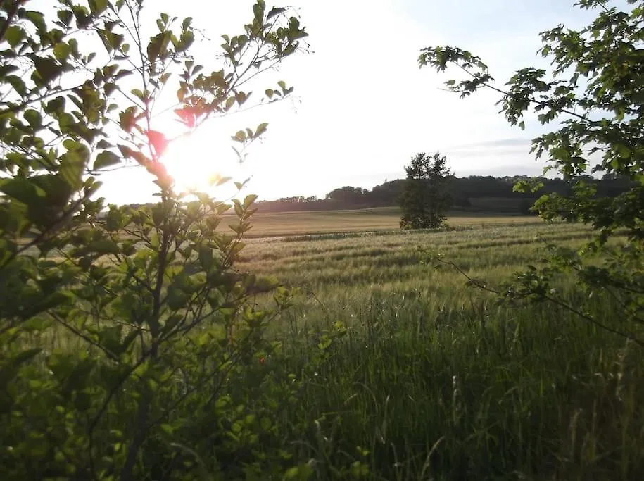 Holiday home Le Gite Bellevue A Montjoi 82400 Tarn & Garonne