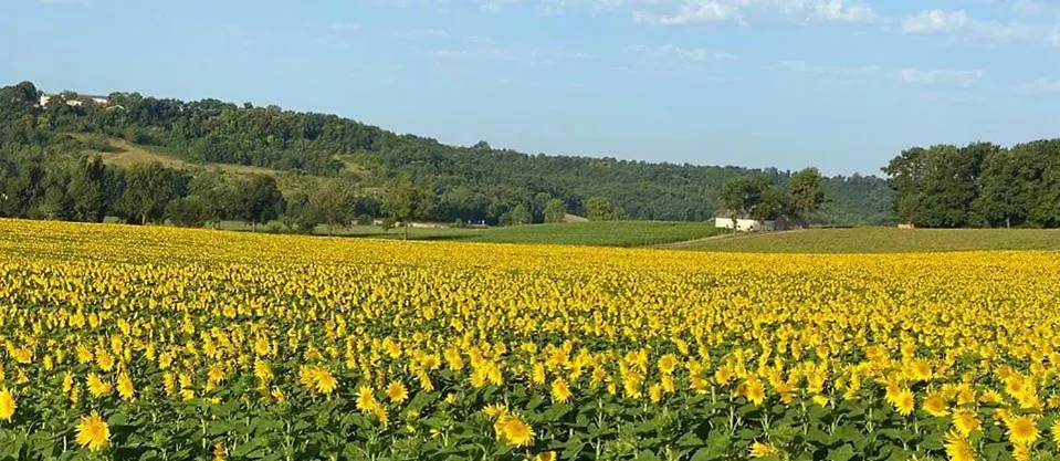 Le Gite Bellevue A Montjoi 82400 Tarn & Garonne 0*,